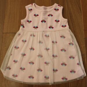 Hanna Andersson Moon & Back Dragonfly‎ Print Pink Dress Tulle Skirt 12-18 Month